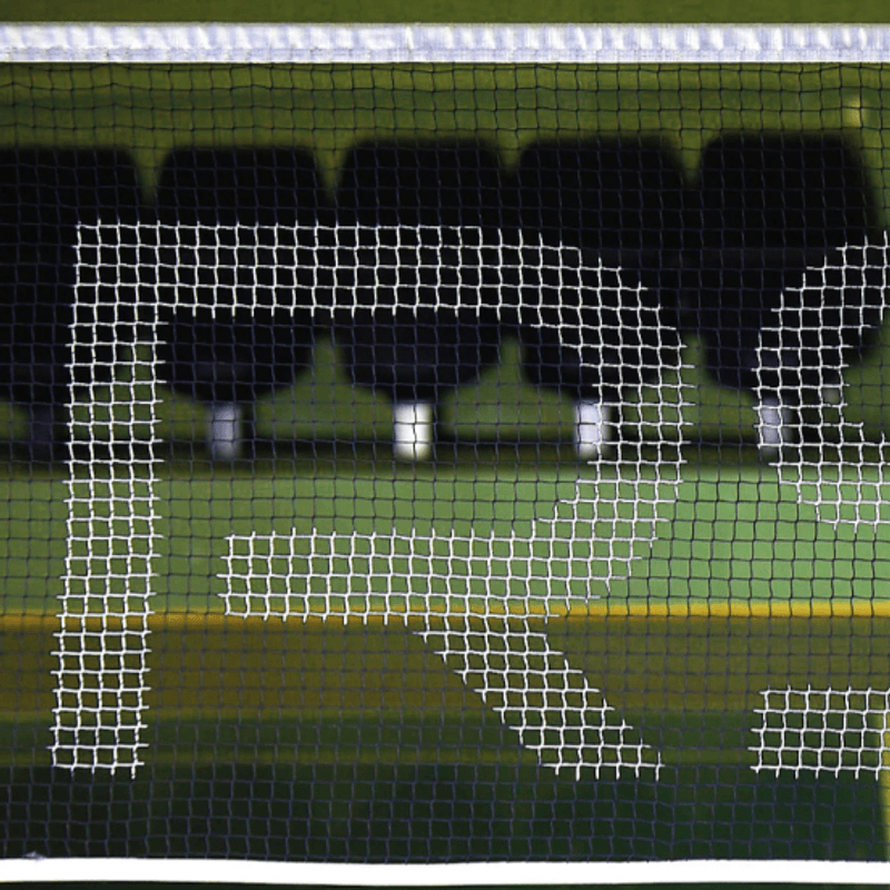 RSL logo Net